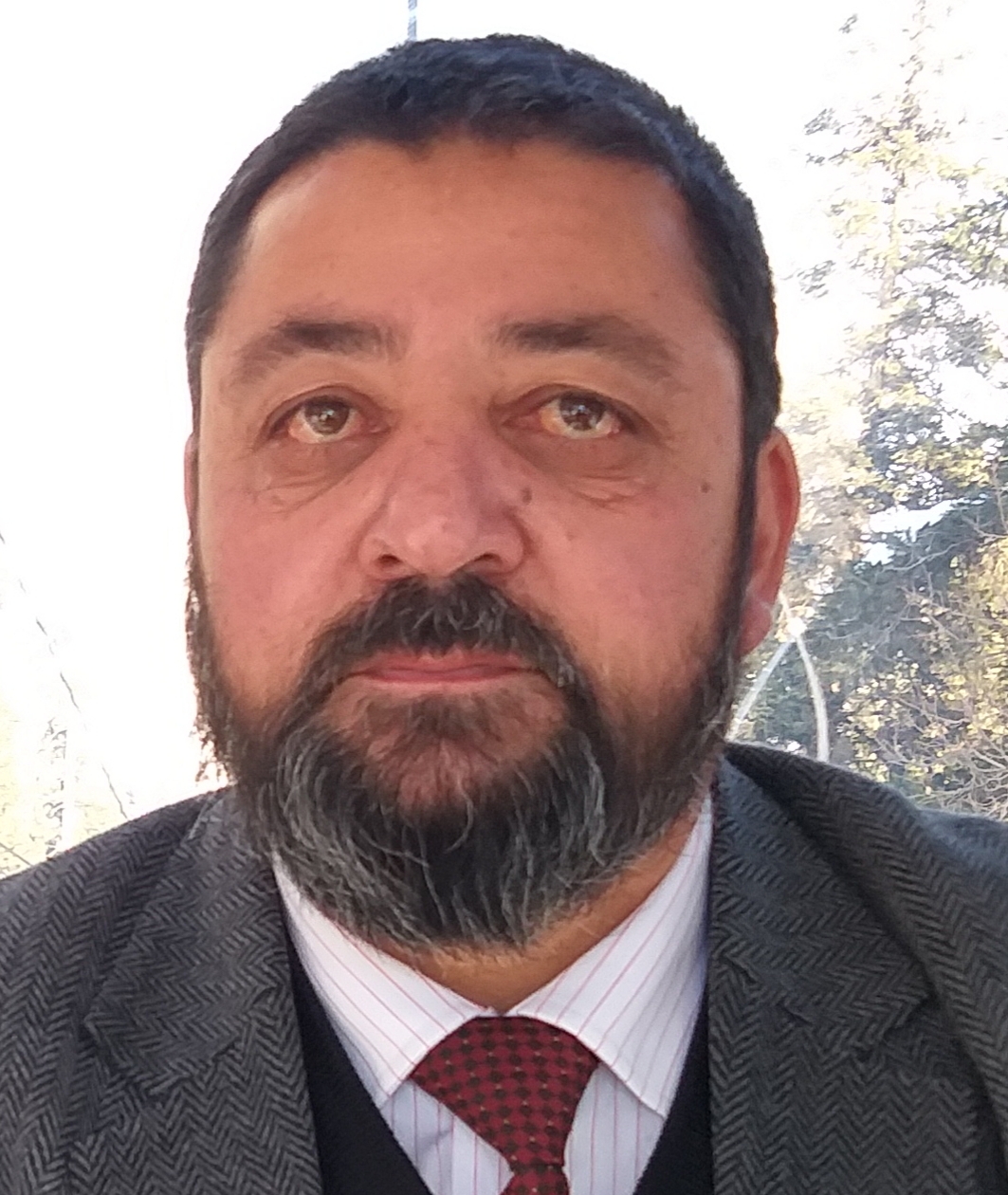 Prof. (Dr.) Mohammad Hussain